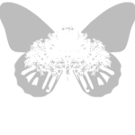 psicologa en murcia logo